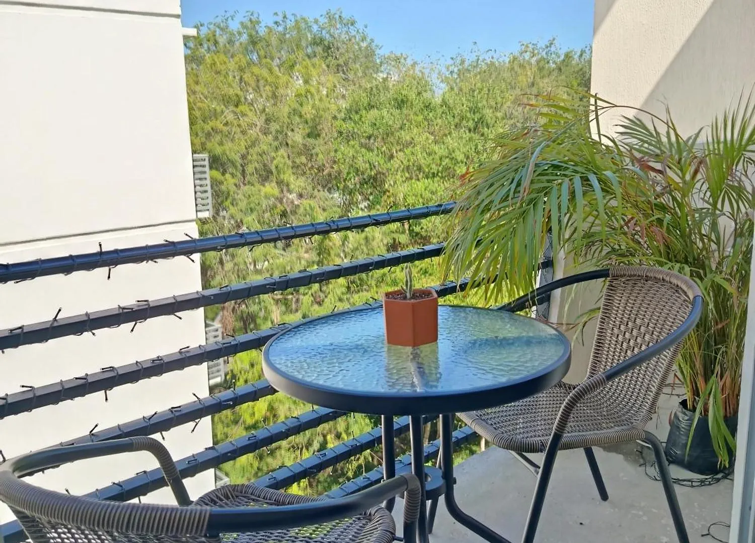 Habitacion Privada En Penthouse Con Roof Top Playa del Carmen Pansiyon